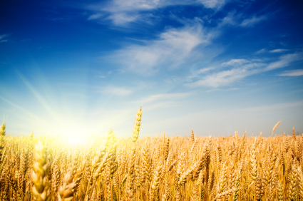 Celiac disease worsens as you get older