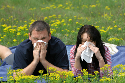 iStock_000001637613XSmall